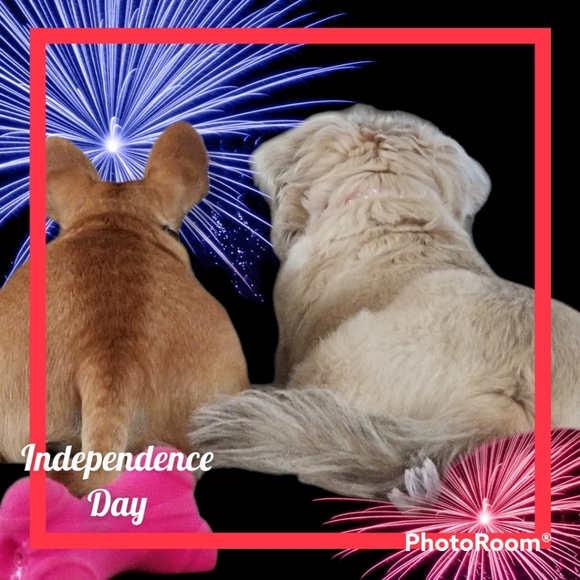 Meet The Posher!! - Picture 8 of 8